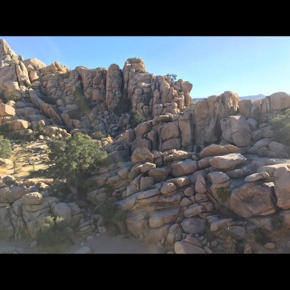 Meet your Posher, Dara - Picture 1 of 1